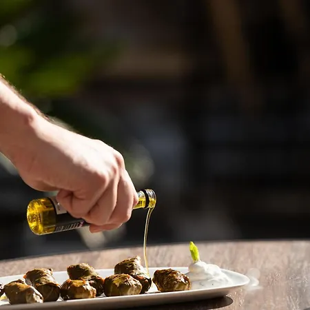 Argini Syros Отель Эрмуполис