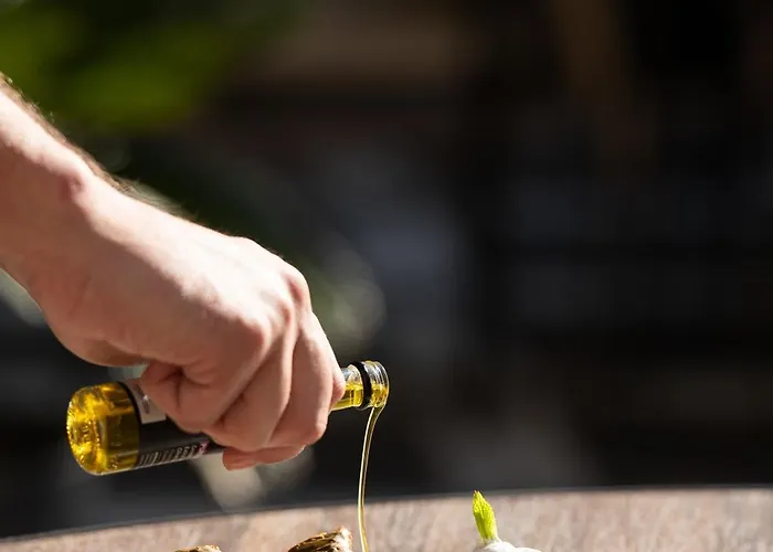 Argini Syros Hotel Hermópolis